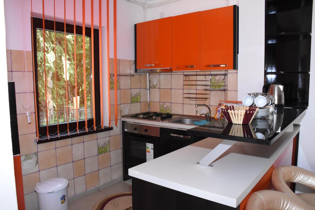 Hotel Apartament Eldya Comfort&Suites Predeal Exterior foto